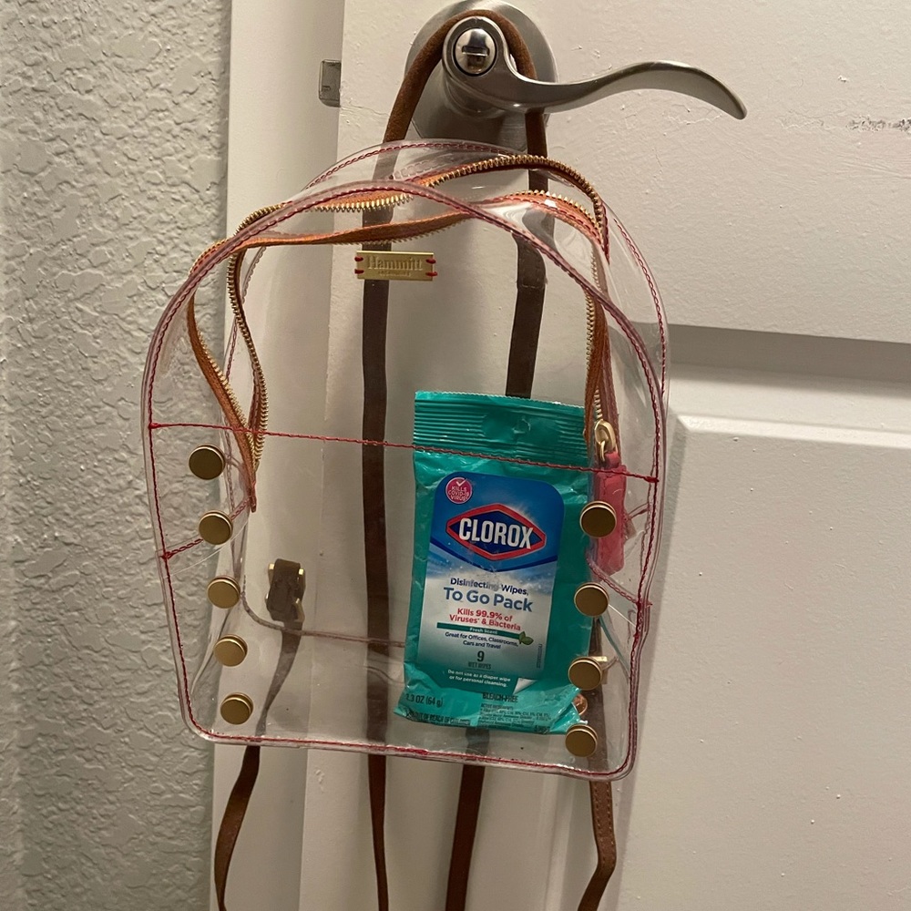 Hammitt clear mini backpack